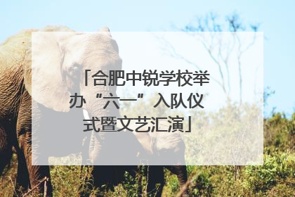 合肥中锐学校举办“六一”入队仪式暨文艺汇演