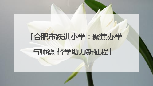 合肥市跃进小学：聚焦办学与师德 督学助力新征程