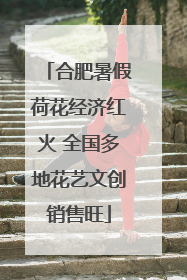 合肥暑假荷花经济红火 全国多地花艺文创销售旺