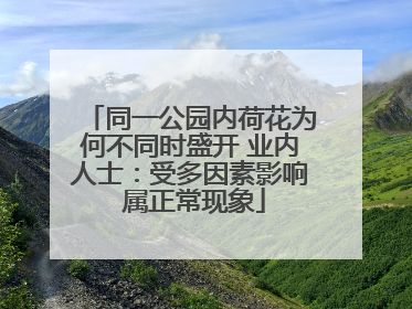 同一公园内荷花为何不同时盛开 业内人士：受多因素影响 属正常现象