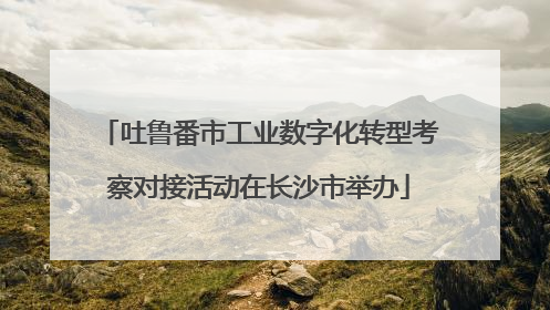 吐鲁番市工业数字化转型考察对接活动在长沙市举办