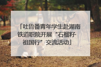 吐鲁番青年学生赴湖南铁道职院开展“石榴籽·祖国行”交流活动