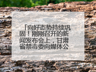 向好态势持续巩固！刚刚召开的新闻发布会上，甘肃省禁毒委向媒体公布三年禁毒工作“成绩单”