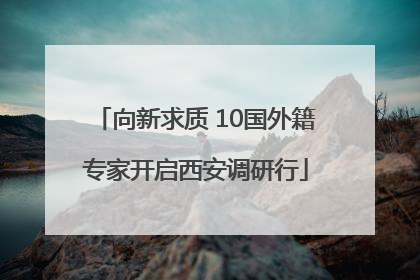向新求质 10国外籍专家开启西安调研行
