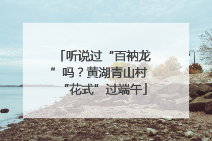 听说过“百衲龙”吗？黄湖青山村“花式”过端午