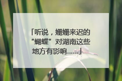听说，姗姗来迟的“蝴蝶”对湖南这些地方有影响……