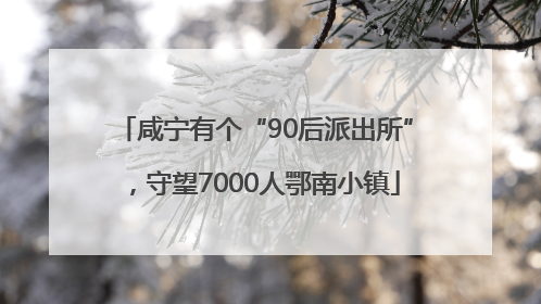 咸宁有个“90后派出所”，守望7000人鄂南小镇