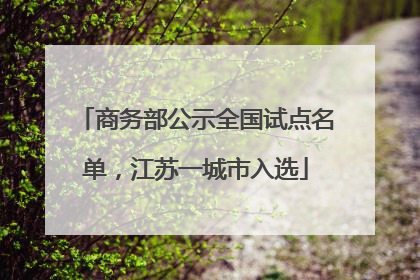 商务部公示全国试点名单，江苏一城市入选