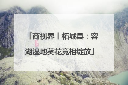 商视界丨柘城县：容湖湿地葵花竞相绽放
