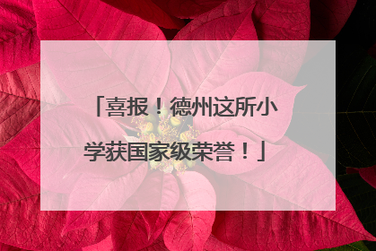 喜报！德州这所小学获国家级荣誉！