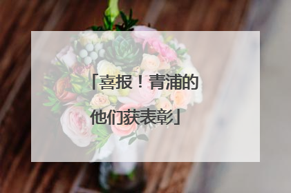 喜报！青浦的他们获表彰
