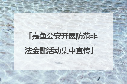 嘉鱼公安开展防范非法金融活动集中宣传