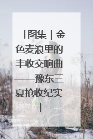 图集｜金色麦浪里的丰收交响曲——豫东三夏抢收纪实