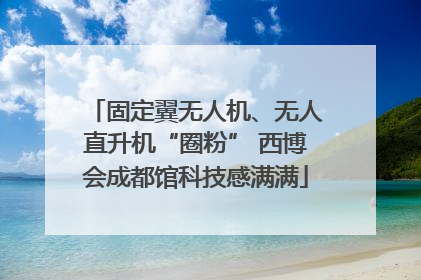 固定翼无人机、无人直升机“圈粉” 西博会成都馆科技感满满