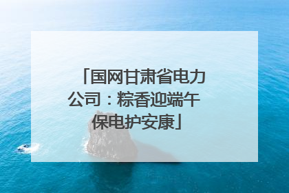 国网甘肃省电力公司：粽香迎端午 保电护安康