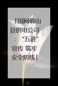 国网确山县供电公司：“五进”宣传 筑牢安全防线