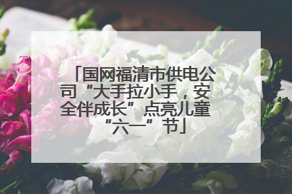 国网福清市供电公司“大手拉小手，安全伴成长”点亮儿童“六一”节