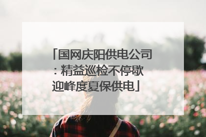 国网庆阳供电公司：精益巡检不停歇 迎峰度夏保供电