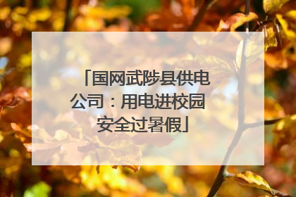 国网武陟县供电公司：用电进校园  安全过暑假