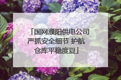 国网濮阳供电公司严抓安全细节 护航仓库平稳度夏