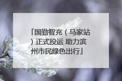 国勤智充（马家站）正式投运 助力滨州市民绿色出行