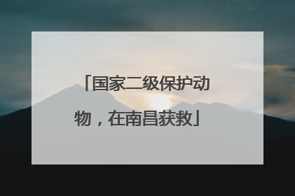 国家二级保护动物，在南昌获救