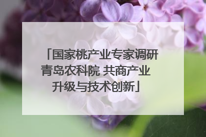 国家桃产业专家调研青岛农科院 共商产业升级与技术创新