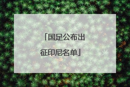国足公布出征印尼名单