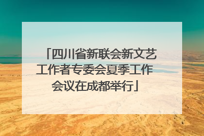 四川省新联会新文艺工作者专委会夏季工作会议在成都举行