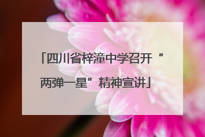 四川省梓潼中学召开“两弹一星”精神宣讲