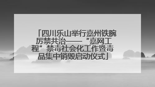 四川乐山举行嘉州铁腕 厉禁共治——“嘉网工程”禁毒社会化工作暨毒品集中销毁启动仪式