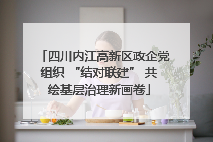 四川内江高新区政企党组织 “结对联建” 共绘基层治理新画卷