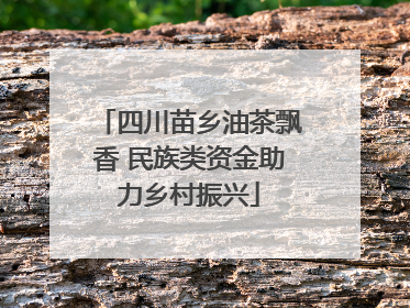四川苗乡油茶飘香 民族类资金助力乡村振兴
