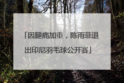 因腿痛加重，陈雨菲退出印尼羽毛球公开赛