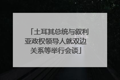 土耳其总统与叙利亚政权领导人就双边关系等举行会谈