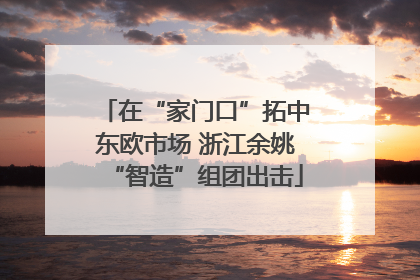 在“家门口”拓中东欧市场 浙江余姚“智造”组团出击
