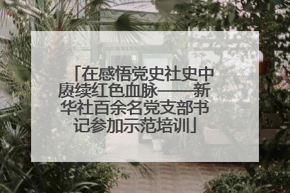 在感悟党史社史中赓续红色血脉——新华社百余名党支部书记参加示范培训