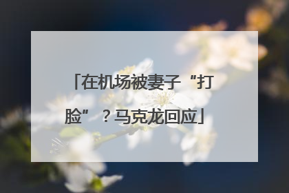 在机场被妻子“打脸”？马克龙回应