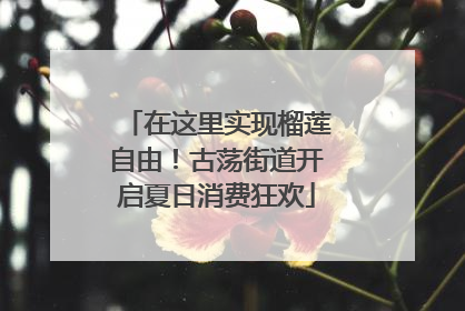 在这里实现榴莲自由！古荡街道开启夏日消费狂欢