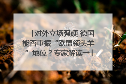 对外立场强硬 德国能否重振“欧盟领头羊”地位？专家解读→