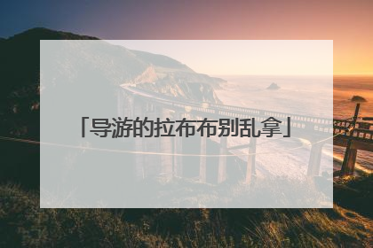 导游的拉布布别乱拿