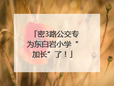 密3路公交专为东白岩小学“加长”了！