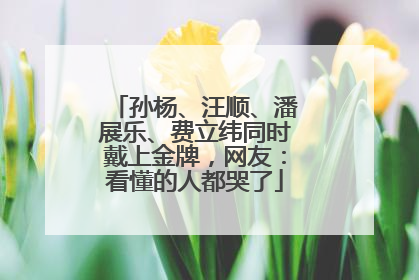 孙杨、汪顺、潘展乐、费立纬同时戴上金牌，网友：看懂的人都哭了