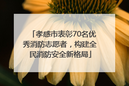 孝感市表彰70名优秀消防志愿者，构建全民消防安全新格局