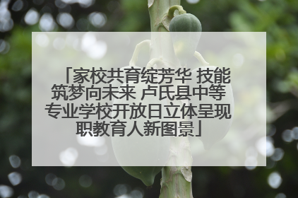 家校共育绽芳华 技能筑梦向未来 卢氏县中等专业学校开放日立体呈现职教育人新图景