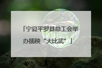 宁夏平罗县总工会举办插秧“大比武”
