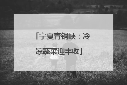宁夏青铜峡：冷凉蔬菜迎丰收