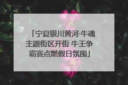 宁夏银川黄河·牛魂主题街区开街 牛王争霸赛点燃假日氛围