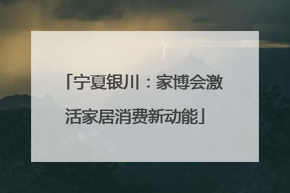 宁夏银川：家博会激活家居消费新动能