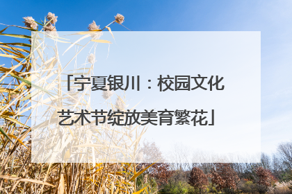 宁夏银川：校园文化艺术节绽放美育繁花